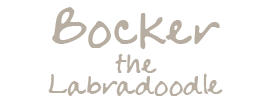 Bocker TV Bocker TV
